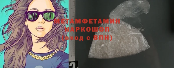 прущие грибы Богданович