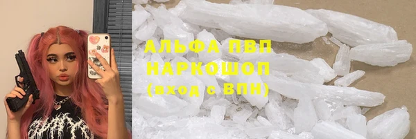СК Бородино