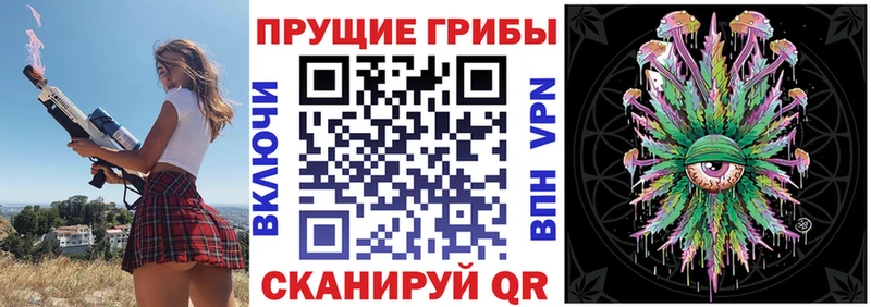 Галлюциногенные грибы мицелий  магазин    Грязи 