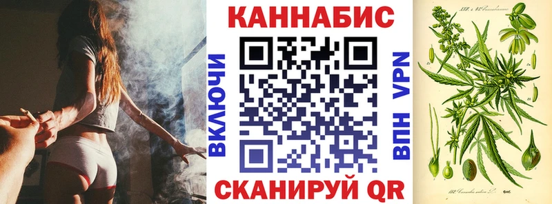 Каннабис сатива  Грязи 